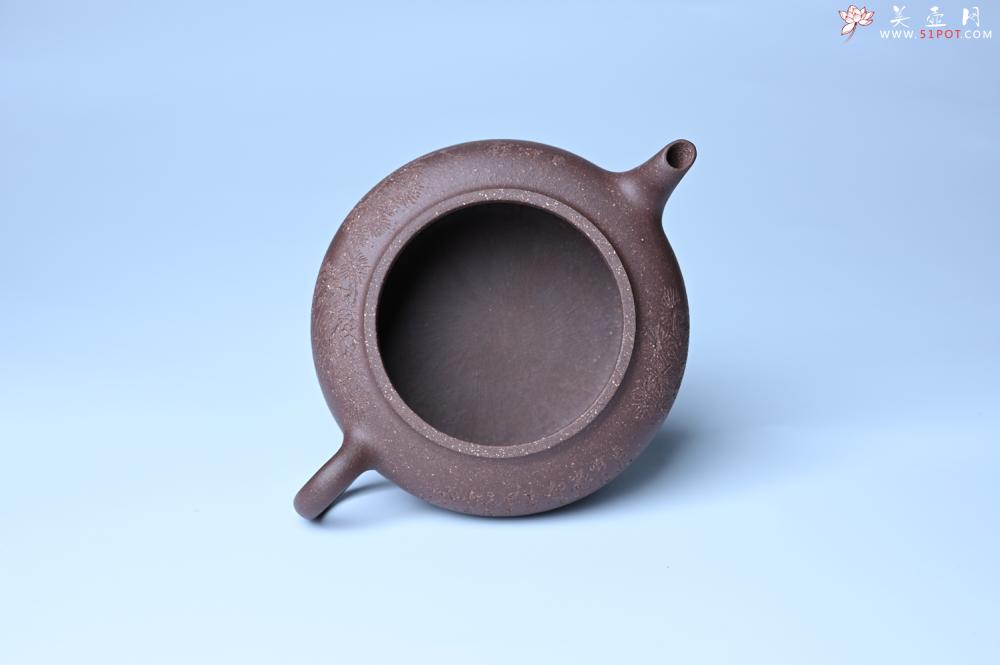 紫砂壶图片：美壶特惠 特好紫泥扁玉壶 装饰不老松 文气十足 - 美壶网