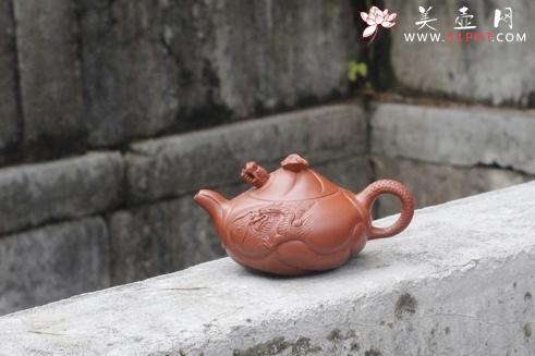 紫砂壶图片：鱼化龙 - 美壶网