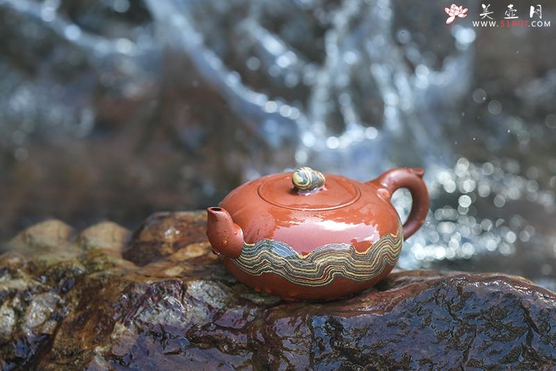 紫砂壶图片:天陨 - 美壶网