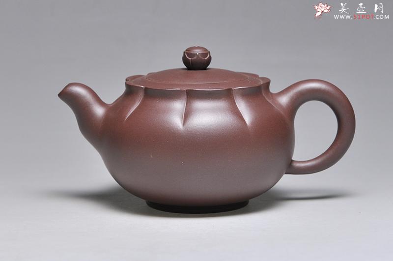 紫砂壶图片：待放 - 美壶网