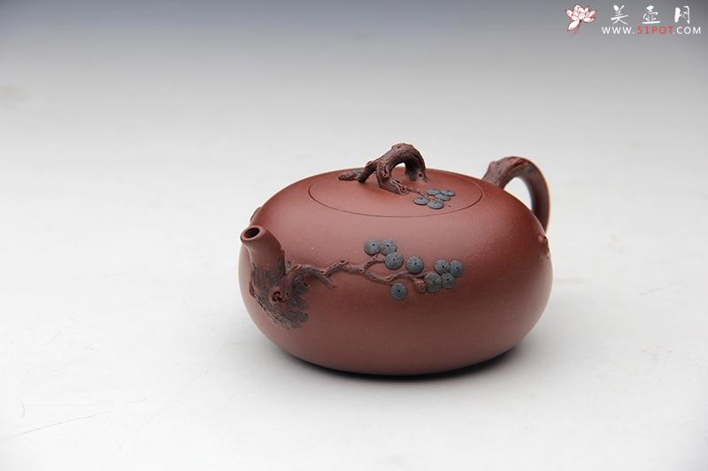 紫砂壶图片：松情雅趣 - 美壶网