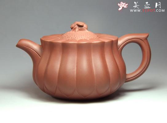 紫砂壶图片：蜂菊 - 美壶网