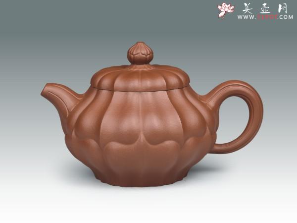 紫砂壶图片：合菱 - 美壶网