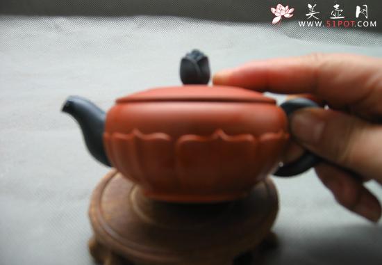 紫砂壶图片：半菊 - 美壶网