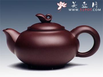 紫砂壶图片:飞翔 - 美壶网