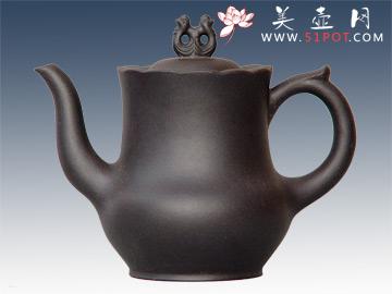 紫砂壶图片：双孔雀 - 美壶网