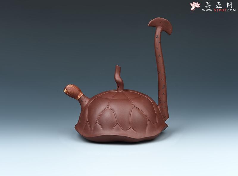 紫砂壶图片：荷韵系列 - 美壶网