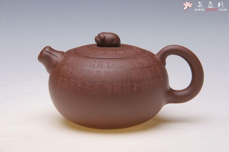 紫砂壶图片：金猪纳福 - 美壶网