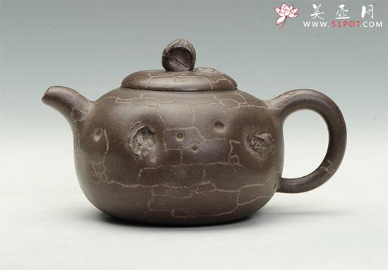 紫砂壶图片：树化石 - 美壶网