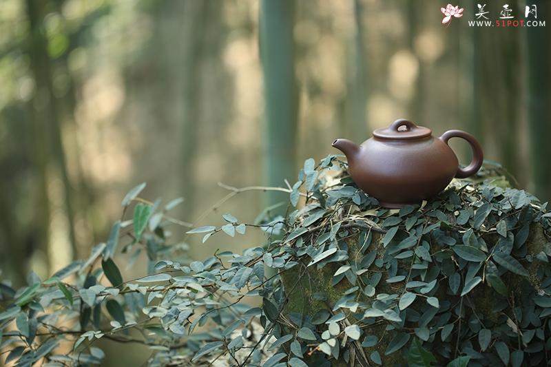 紫砂壶图片：悟道 - 美壶网