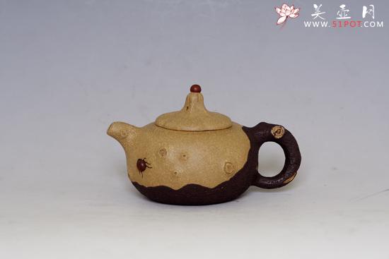 紫砂壶图片：双色树瘿 - 美壶网