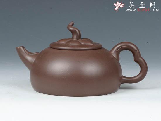 紫砂壶图片：生机盎然  300cc - 美壶网