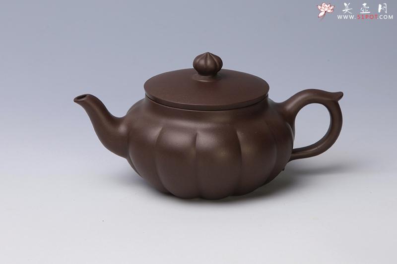 紫砂壶图片：秋菊 - 美壶网