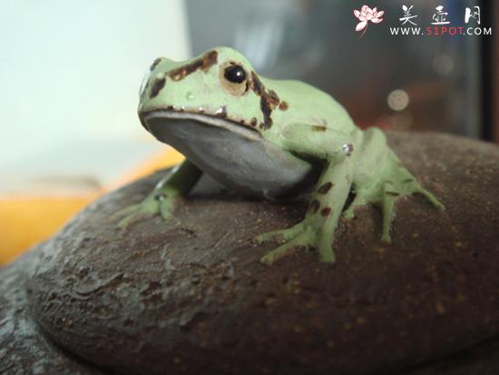 紫砂壶图片：树蛙供春盖子 - 美壶网