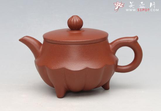 紫砂壶图片：锦囊莲花150CC - 美壶网