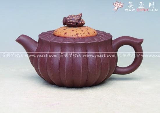 紫砂壶图片：蜂菊 - 美壶网