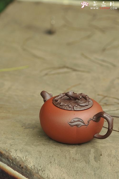 紫砂壶图片：柿缘-场景照 - 美壶网