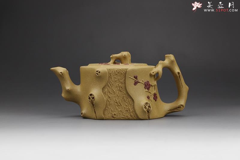 紫砂壶图片：双色梅椿壶（黄龙山原矿段泥） - 美壶网