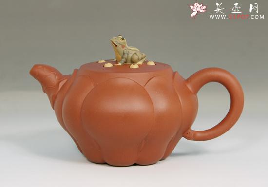 紫砂壶图片：青蛙莲子 - 美壶网