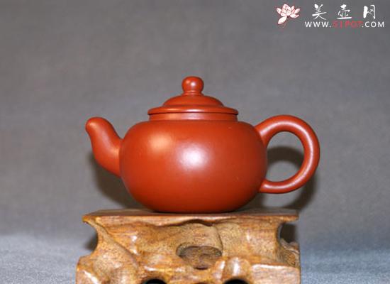 紫砂壶图片:小圆珠 - 美壶网