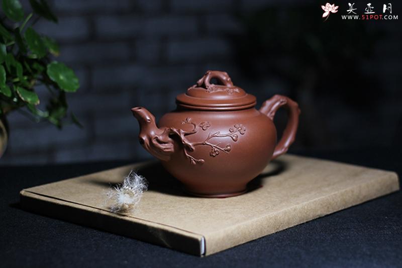 紫砂壶图片：报春 - 美壶网