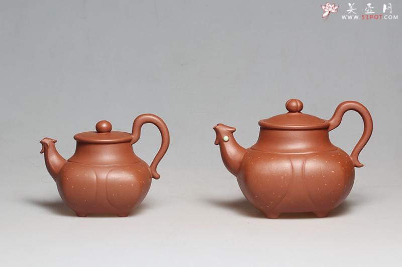 紫砂壶图片：金鸡报春 - 美壶网