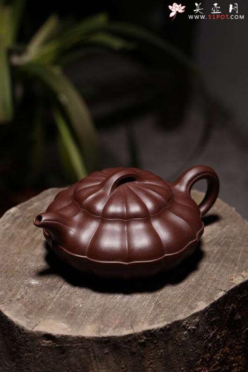 紫砂壶图片：合菱 - 美壶网