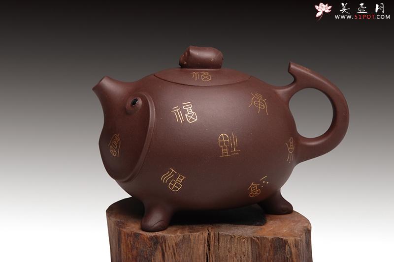 紫砂壶图片：金猪兆丰 - 美壶网