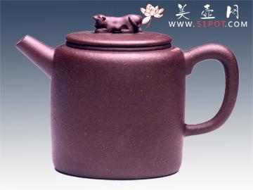 紫砂壶图片：卧虎藏龙 - 美壶网
