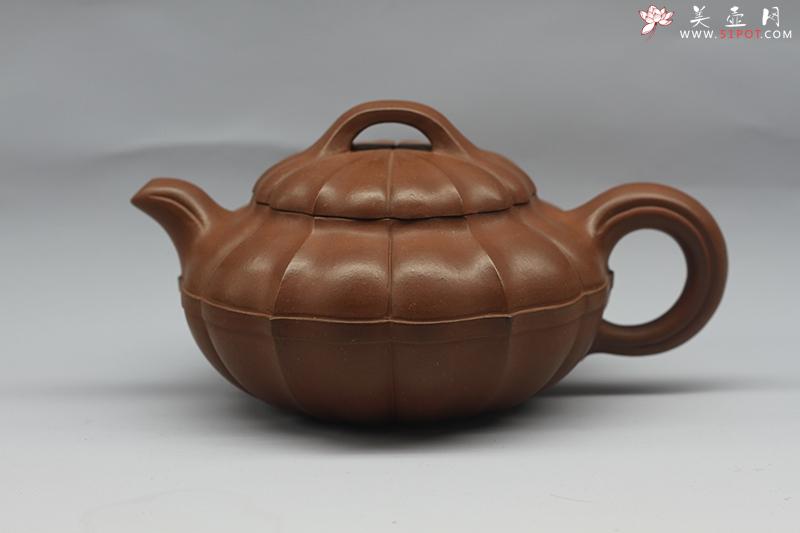 紫砂壶图片：金南瓜壶 - 美壶网