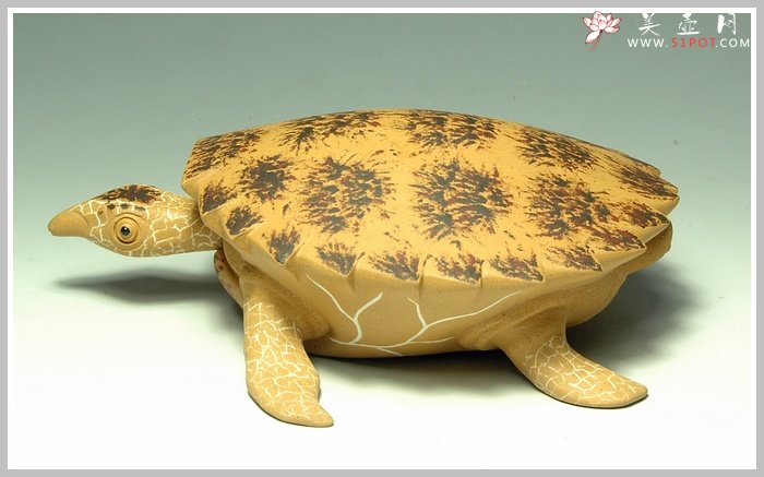 紫砂壶图片：黄金海龟 精细如生 - 美壶网