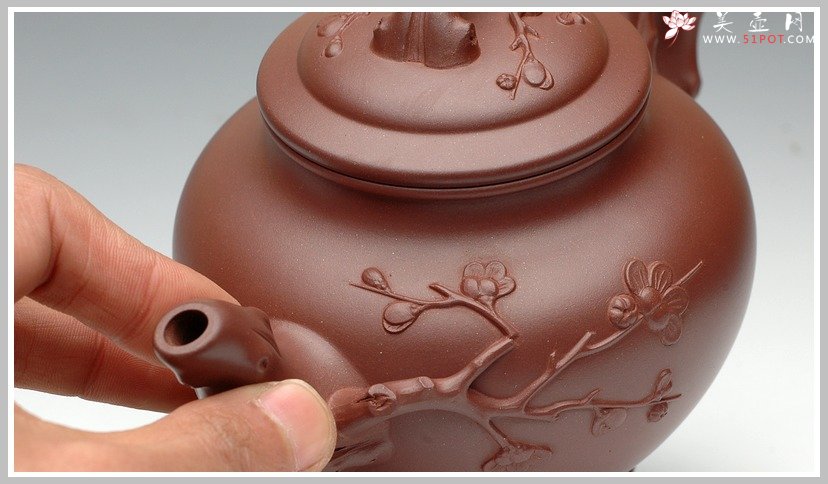 紫砂壶图片：报春 - 美壶网