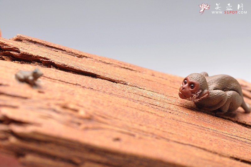 紫砂壶图片：美猴戏蛙镇纸 / 香插  美猴已经长大了~~美猴戏蛙镇纸 / 香插  - 美壶网