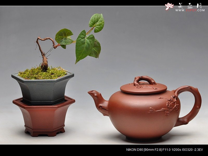 紫砂壶图片：全手镶片 六方葵式 微型花盆 案头赏玩 雅致 - 美壶网