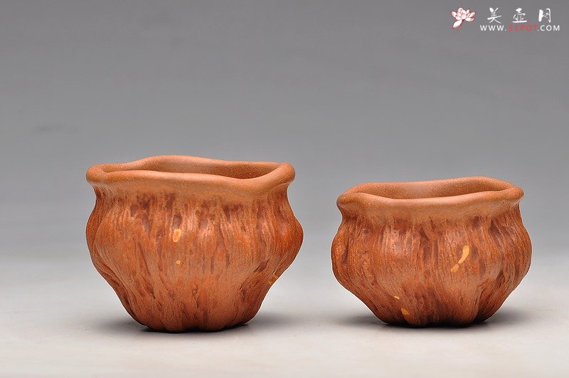 紫砂壶图片：红段泥 莲蓬杯 最新 - 美壶网