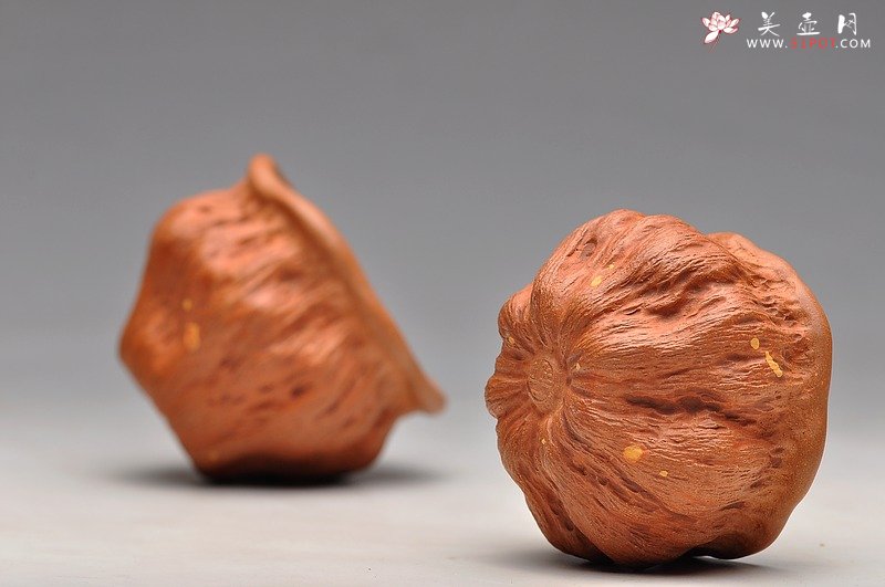 紫砂壶图片：红段泥 莲蓬杯 最新 - 美壶网