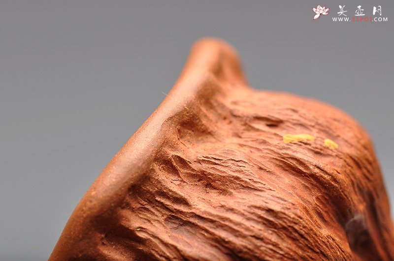 紫砂壶图片：红段泥 莲蓬杯 最新 - 美壶网