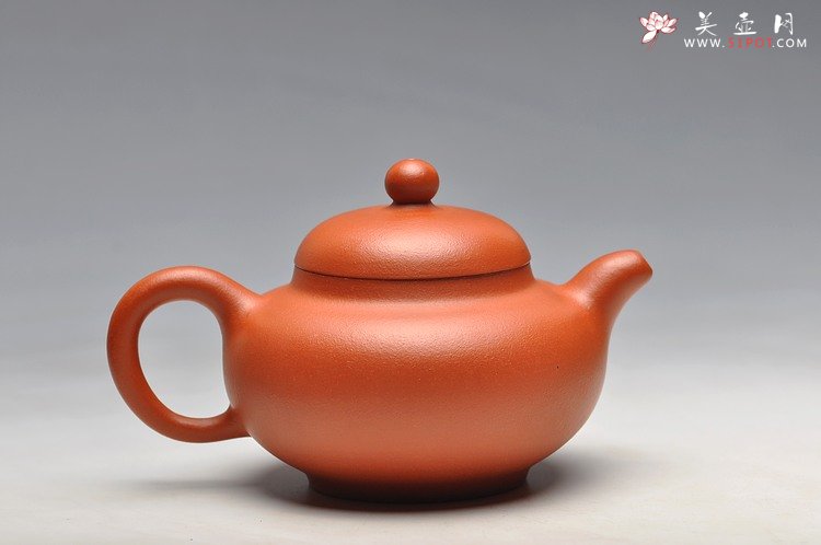 紫砂壶图片： 工笔风格 小红泥 柿圆 实用精品 绿茶 铁观音 - 美壶网