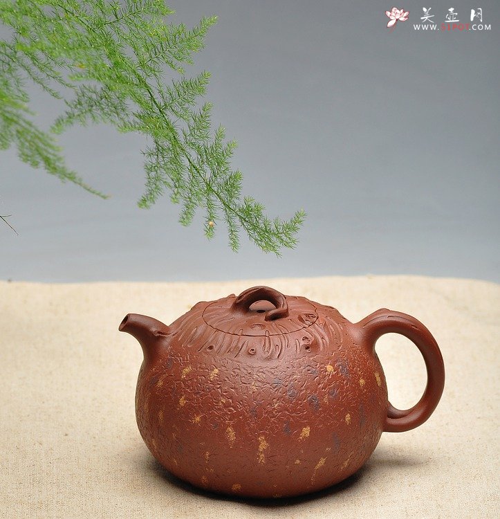 紫砂壶图片：蔡岩峰壬辰年最新原创力作 全手桩语  - 美壶网