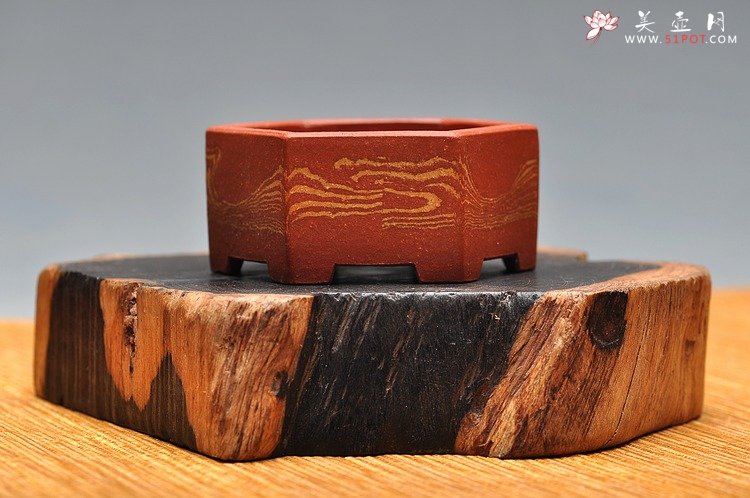 紫砂壶图片：团购  全手胶泥微型花盆 漂亮好玩 - 美壶网