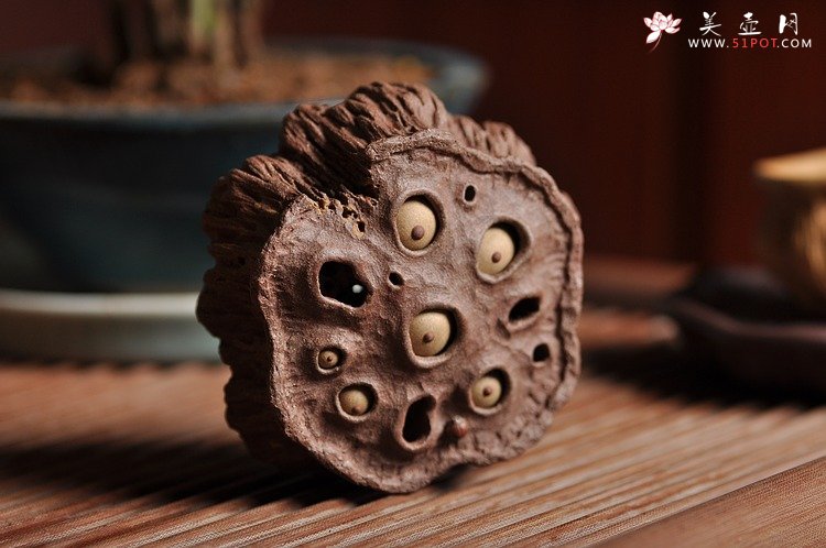 紫砂壶图片：《心心相莲》第三代作品——枯莲蓬茶宠 段泥 - 美壶网