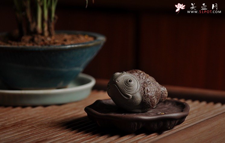 紫砂壶图片：憨态可掬 意趣之五彩金蟾 青灰段 - 美壶网