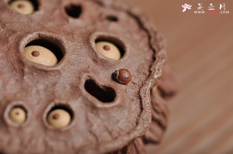 紫砂壶图片：《心心相莲》第三代作品——枯莲蓬茶宠 段泥 - 美壶网