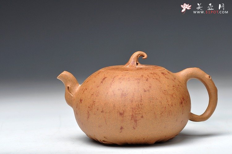 紫砂壶图片：蔡岩峰蜕变之作 新意心意 首创 全手野趣 - 美壶网