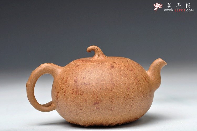 紫砂壶图片：蔡岩峰蜕变之作 新意心意 首创 全手野趣 - 美壶网