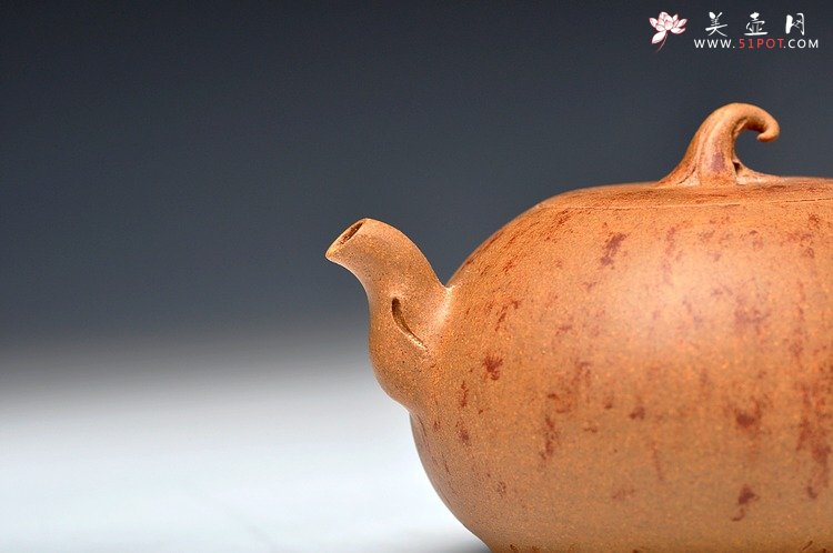 紫砂壶图片：蔡岩峰蜕变之作 新意心意 首创 全手野趣 - 美壶网