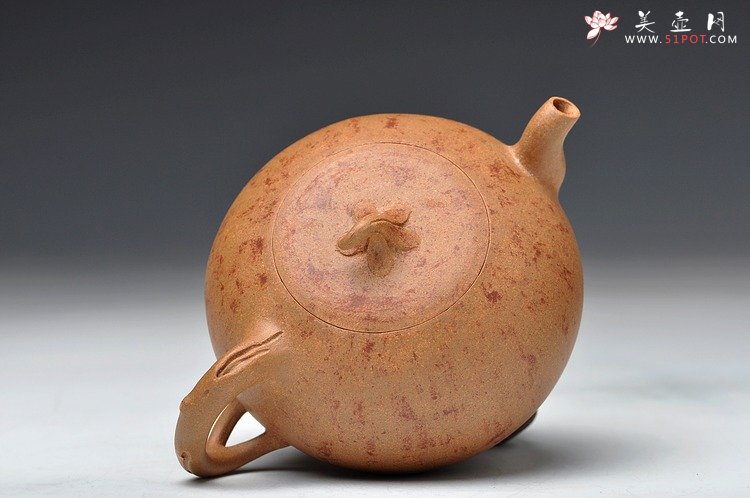 紫砂壶图片：蔡岩峰蜕变之作 新意心意 首创 全手野趣 - 美壶网