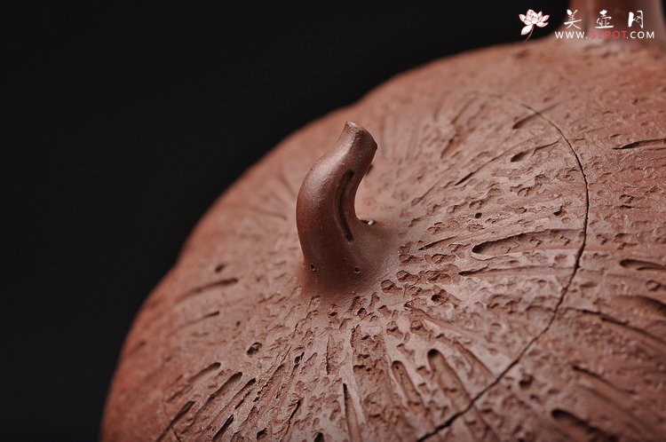 紫砂壶图片：蔡岩峰经典作品 古拙中透灵气 全手工大橘瓜  - 美壶网