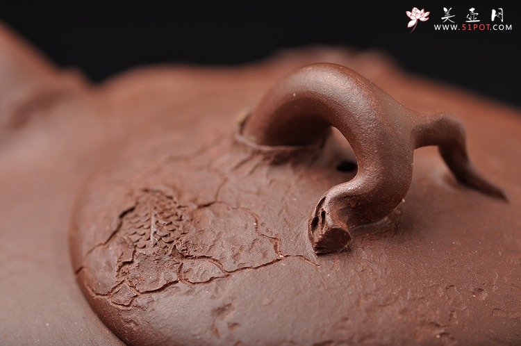 紫砂壶图片：孙金立 全手龙行龚春 精品代表作 丛林系列 - 美壶网