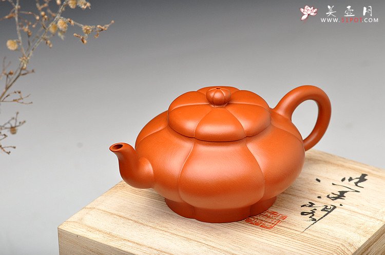 紫砂壶图片：酒虎最新作品 六瓣梅 黄金朱泥 精妙如花 - 美壶网